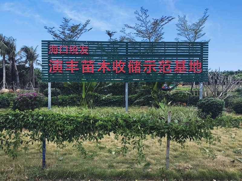 演丰苗木收储示范基地