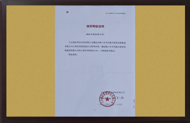 AA+信用主体信用等级