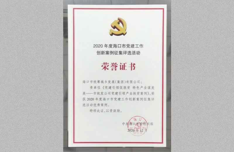 2020年度海口市党建工作创新案例征集活动优秀案例